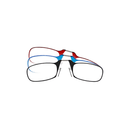 ThinOptics Slim Reading Glasses