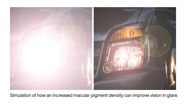 Glare simulation with eye supplements