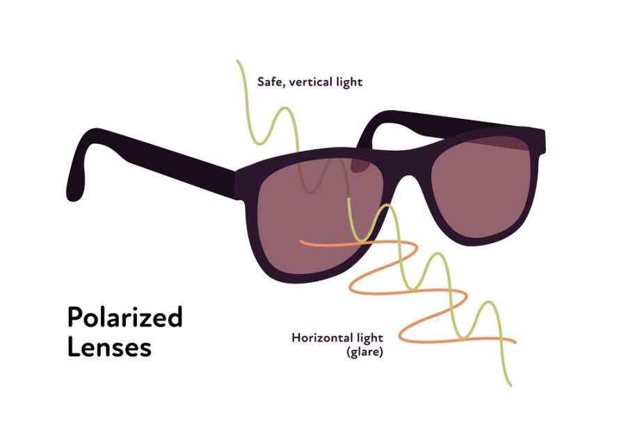 Infographic of showing how Polarized Lenses works